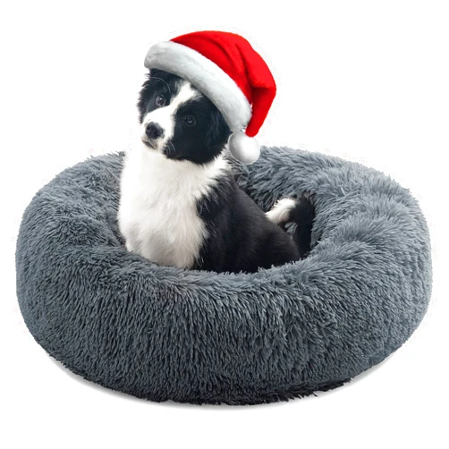 CEVICOLZE Dog Beds for Small Dogs & Large Cat, Anti Anxiety Donut Cat Bed for Indoor Cats, Round Calming Cat Bed, Cozy Soft Puppy Bed, Fluffy Dog Bed, Plush Pet Bed,Washable, 20x20inch Darkgrey