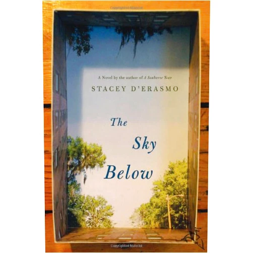 Stacey D'Erasmo The Sky Below
