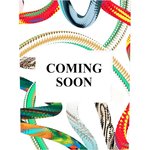 Multilingual Edition by Taschen (Editor) Ai Weiwei. Updated Edition