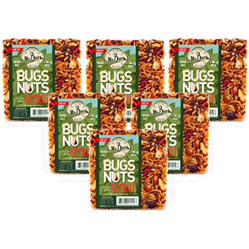 Mr. Bird 6-Pack Bugs, Nuts, & Fruit Small Wild Bird Seed Cake 6 oz.