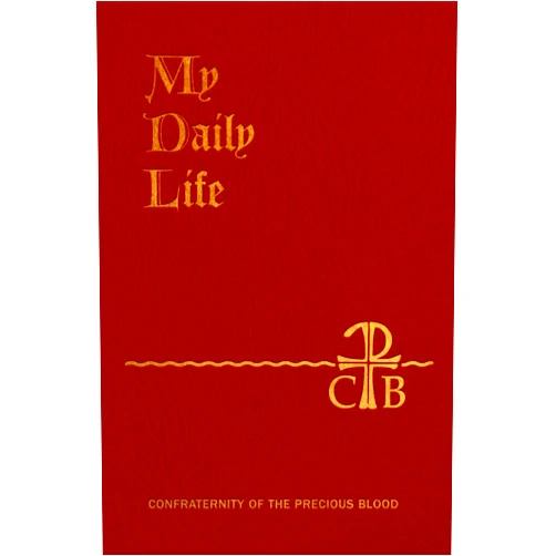 Father Anthony J. Paone S.J. My Daily Life