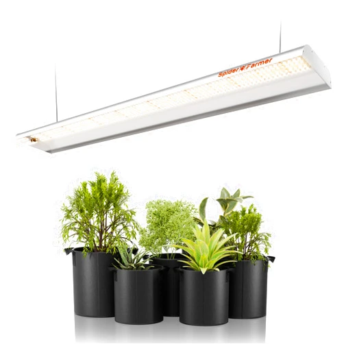 Spider Farmer 2024 New SF600 LED Grow Lights 2x4 ft Coverage Sunlike Full Spectrum Plant Growing Lamp for Indoor Plants Seeding Veg Flower Energy Saving & High Efficiency Grow Light 384 Diodes