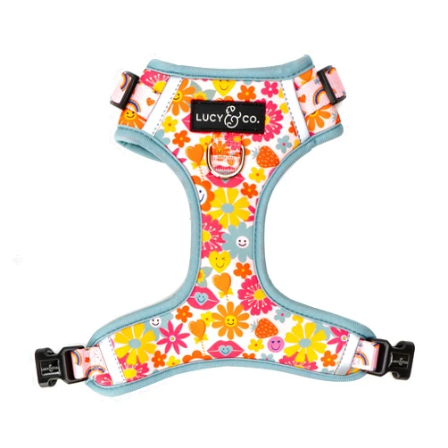 Lucy & Co. The Y2K Baby No-Pull Dog Harness - Size Small - Vest to Stop Pulling & Walk Easy - Comfortable Leash Training Product w/Adjustable Chest & Neck Straps
