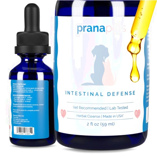 PranaPets Intestinal Defense Supplement for Dogs & Cats | Naturally Helps Digestive Issues in Pets | Herbal Formula