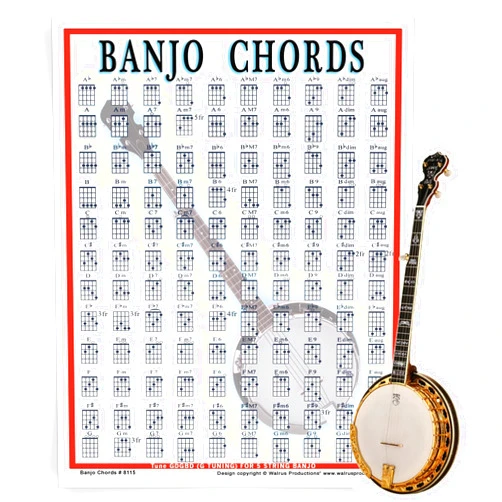 Walrus Productions Mini Banjo Chord Chart Poster - Laminated Banjo for Beginners and Musicians Chart - Music Theory Poster with 120 Different Chords - Banjo Accessories - 8.5