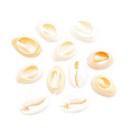 Yaokan 100PCS Sprial Cowire Shells Beads Cutted Natural Beach Seashells Beads Charm for Hair Waist Jewelry Making Earrings Craft DIY