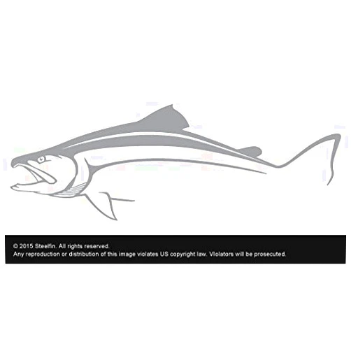 Steelfin Salmon Decal Sticker