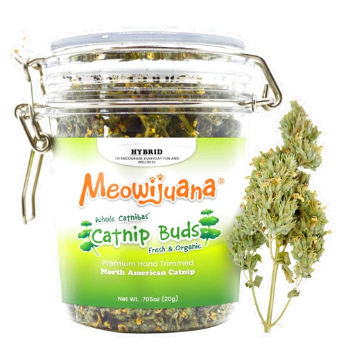 Meowijuana | Dried Catnip Buds Jar | Premium Organic Catnip | Grown in North America | Perfect for Cat Toys | Fresh Catnip for Extended Playtime | Elevate Your Cat's Enjoyment