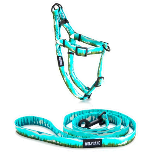 Wolfgang Man & Beast Wolfgang Premium No Pull Dog Training Medium Harness (5/8 Inch x 16-24 Inch) and Small Dog Leash (5/8Inch x 6 Feet) Bundle for Dogs, Made in USA, GreatEscape Print