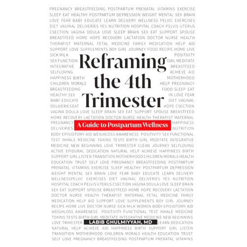 Labib Ghulmiyyah MD Reframing the 4th Trimester: A guide to Postpartum Wellness