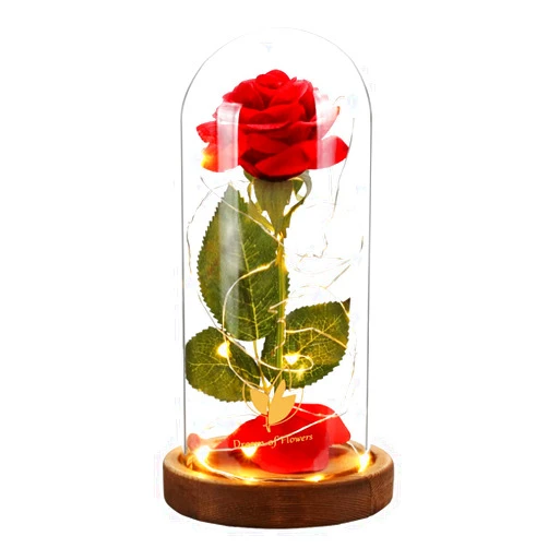 Dream of Flowers Mothers Day Rose Gifts for Mom,Beauty and The Beast Rose Artificial Flower Red Rose Gift,Lasts Forever in a Glass Dome,Mother's Day Flowers Birthday Gifts for Women,Anniversary,Wedding Gifts