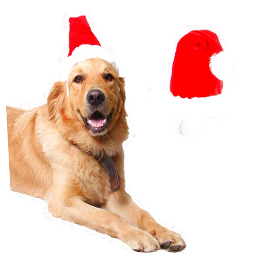 ANIAC Adjustable 3D Christmas Dog Santa Hat for Medium to Large Dogs Pet Dog Santa Costume…