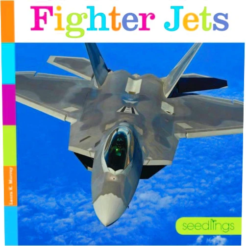 Laura K. Murray Fighter Jets: Seedlings