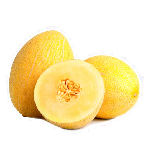 Generic Fresh Golden Melon Dulcinea Fruit Sugar Kiss Melon Juicy Sweet - Texas Grown (1 Count - 2lbs ~ 3.5lbs fruit weight)