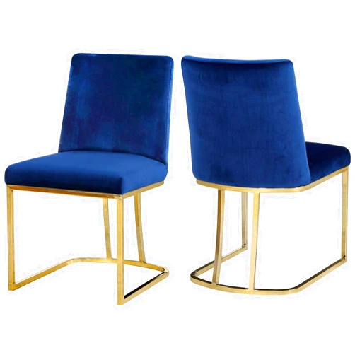 Meridian Furniture Heidi Collection Modern | Contemporary Velvet Upholstered Dining Chair with Polished Gold Metal Frame, Set of 2, 19