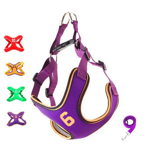 KCUCOP Step in Dog Harness for Small and Medium Dogs,No-Choke Design,Soft Mesh Padding,Ideal for Comfortable Walking,Leash Included(Purple M)
