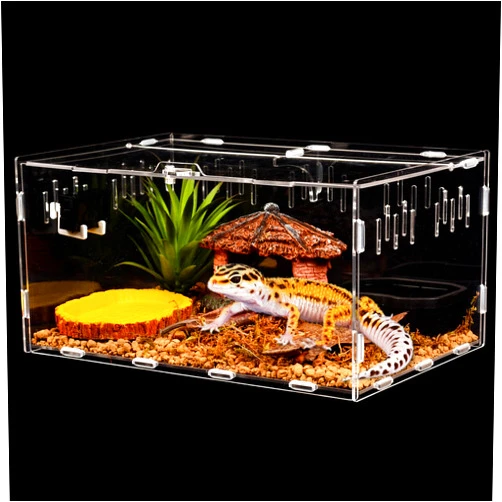 KINGRUNNING Acrylic Reptile Tank, 11.8