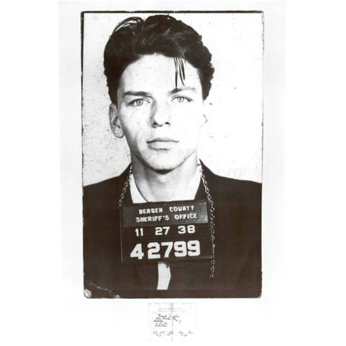 Poster Revolution Frank Sinatra Mugshot Poster Collections Art Poster Print, 20x35