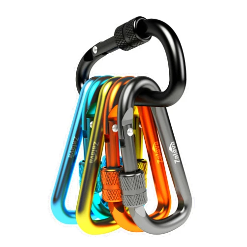 Zalava 6pcs 2”D-Clip Durable Locking Carabiner Keychain Clip with Hook