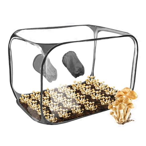 BlyeMichdi Mushroom Still Air Box with 2 Armholes, Large Transparent Still Air Box for Mushroom Grow，Kit Foldable Pop up Mushroom Grow Box with Zipper for Indoor Outdoor (35.5x23.6x23.6 inch) (Black)