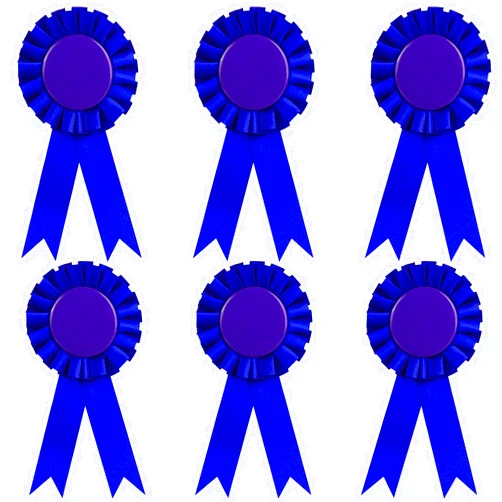 Aedida 6 Pieces Blank Award Ribbon, 1st Place Rosette Ribbon Prize Ribbon Winner Victory Ribbons Deluxe Recognition Ribbons for Competition, Sports Event, School, Contests (Blue)