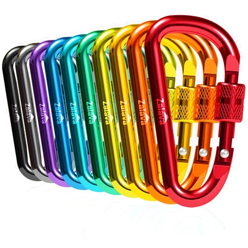 Zalava 10pcs 2”D-Clip Durable Locking Carabiner Keychain Clip,Keychain Clip Hook
