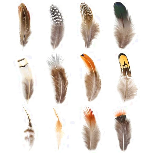 Ballinger 360pcs 12 Styled Natural Feathers Assorted Mixed Feathers for Jewelry and Dream Catcher Crafts