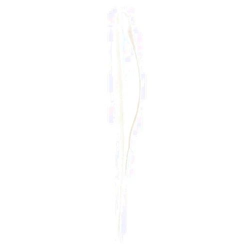Bass Assassin Shad-8 Per Bag