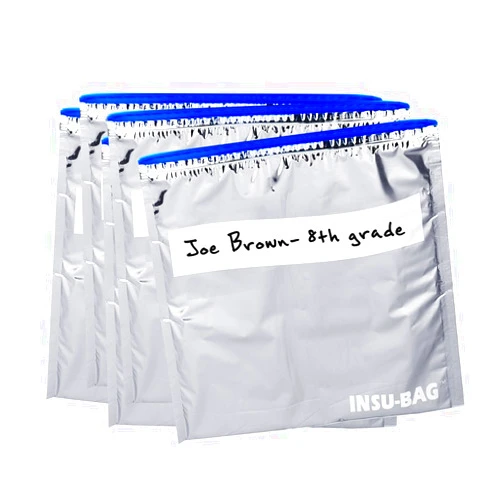 INSU-BAGS Foil Thermal Sandwich Bags - 5 Pack - Reusable Insulated Bag - Keeps Snacks and Lunch Cool and Fresh - Easy Closure - Waterproof | Silver Color
