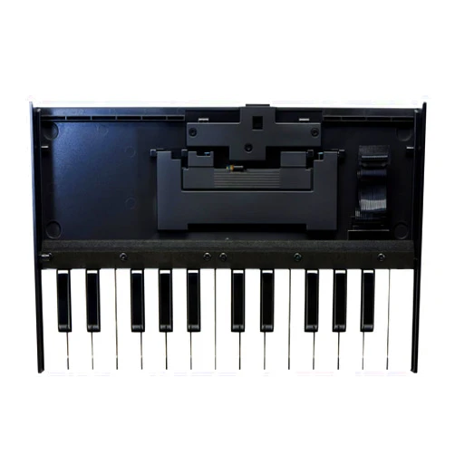Roland K-25M Boutique Module Dock USB MIDI Keyboard, 12-Inch