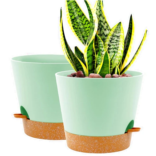 DUCINO Plante Pots Green and Brown