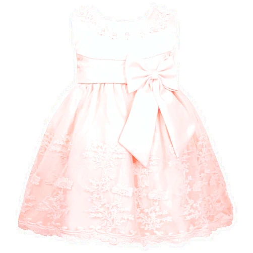 zdhoor Infant Baby Floral Lace Flower Girl Dress Sleeveless Bow Back Birthday Party Pageant Princess Costume