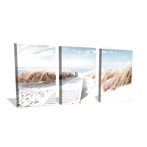 Hardy Gallery Coastal Beach Canvas Wall Art: Pathway to Shoreline Artwork Painting on Canvas for Office or Bedroom (16'' x 12'' x 3 Panels)