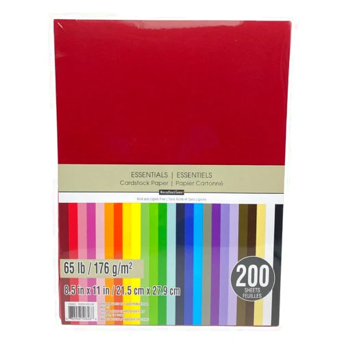 Recollections Cardstock Paper, Essentials 20 Colors - 200 Sheets 8-1/2 X 11