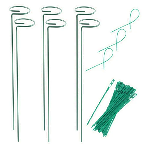 RAIKEDR Plant Stake Support - 6 Pack, Garden Single Stem Support Stake Plant Cage Support Rings, Single Stem Plant Support Stakes, Plant Twist Ties, for Flowers Amaryllis Tomatoes Peony Lily Rose (15.9 inch)