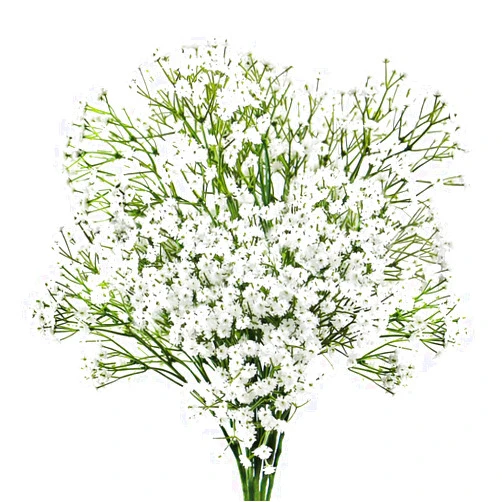 Omygarden White Artificial Babys Breath Flower Bouquet, 23.6