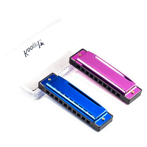 Koogel 2PCS Harmonicas for Adults, Diatonic Blues Harp Mouth Organ Musical Instruments 10 Hole Metal Harmonica for Professionals and Beginners
