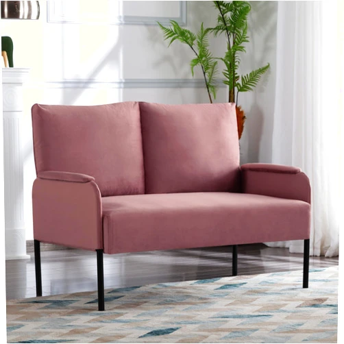FREESNOOZE Modern Loveseat 2 Seater Sofa Velvet Fabric Couch with Metal Legs for Living Room, Apartments, Office, Small Spaces(Pink)