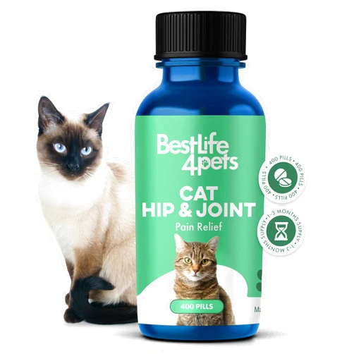 BestLife4Pets Cat Hip and Joint Pain Relief Supplement, Cat Arthritis Pain Relief, Heal from Sprains, Inflammation and Injuries, Improve Mobility, Natural Easy-to-Swallow, Odorless, Tasteless, 400 Pills