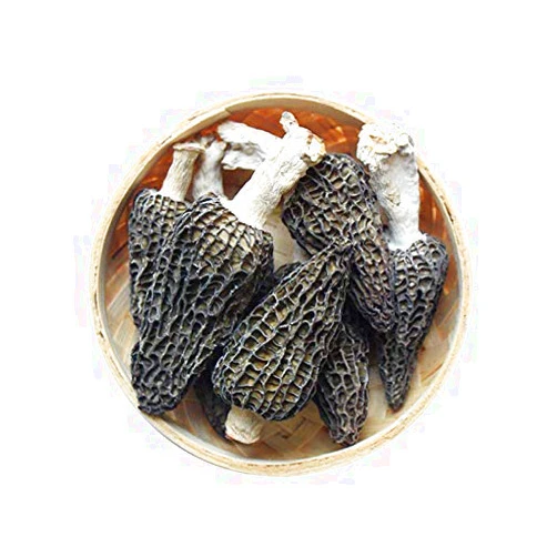 Zhanyunmaoyi Jumbo Dried Morel Morchella Mushroom Crop Top Grade Premium Quality 100g (3.5oz)
