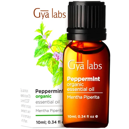 Gya Labs Organic Peppermint Essential Oil for Diffuser - Organic Peppermint Oil for Skin & Hair - 100% Pure Natural, Refreshing Aromatherapy (0.34 Fl Oz)