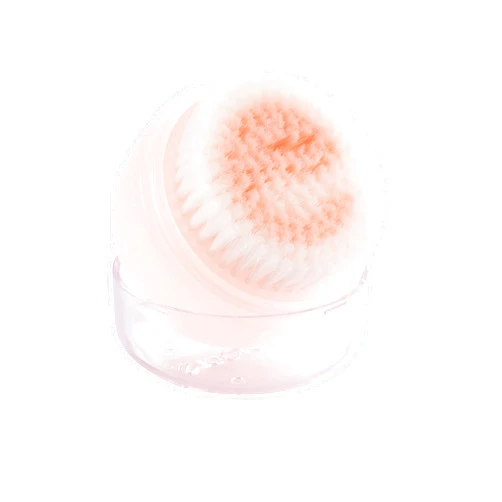 EcoTools Deep Cleansing Facial Brush, Manual Facial Cleansing Brush Exfoliates & Deeply Cleanses, Remove Makeup & Dry Skin, Eco-Friendly Face Brush for Cleansing, Color May Vary, 1 Count