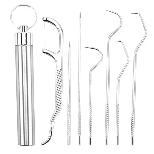 Bonmall Dental Teeth Pick Stainless Steel Toothpick Set Reusable Tooth Stains Remover Dental Tool Teeth Cleaning Tools with Holder for Outdoor Picnic, Camping, Travel (7PCS/Set)