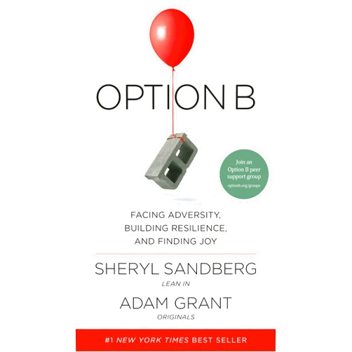 Sheryl Sandberg,Adam Grant Option B: Facing Adversity, Building Resilience, and Finding Joy
