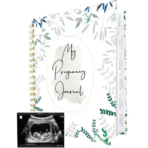 Two little dinos Pregnancy Journal for First Time Moms | Weekly Pregnancy Tracker & Baby Book | 200-Page Maternity Journal | Pregnancy Must Haves Keepsake Gift | Premium Hardcover Pregnancy Book for Expecting Moms