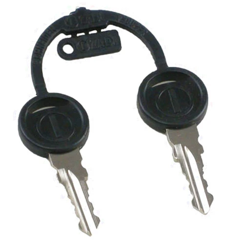 USA-CLEAN T81076 Metal Keys with Black Plastic Tops (Pack of 2)