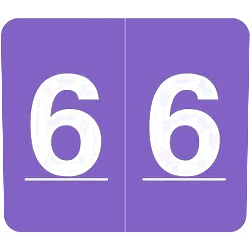 Www.filingsupplies.com V.A. Hospital/Barkley Systems Numeric Label - FNVAM Series (Rolls) - 6 - Purple
