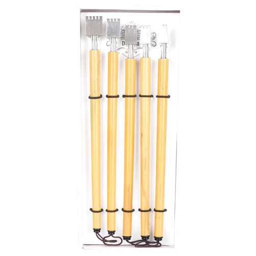 Hztyyier 5Pcs Dip Pen Set with Different Shapes and Thicknesses of Nibs for Handcrafted Calligraphy Set (Parallel Line Nib Set)