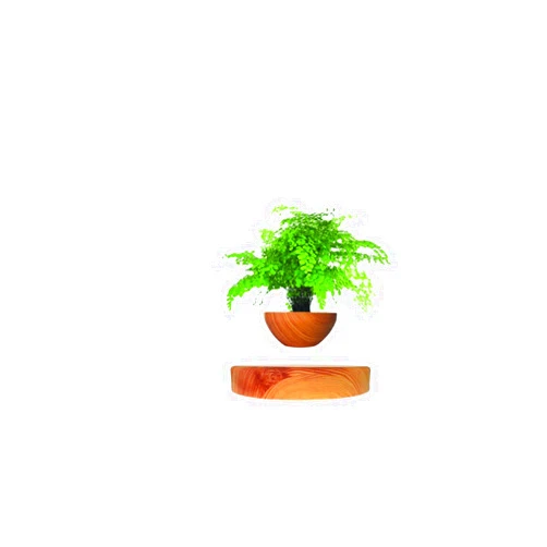 LMingKun Planting Flower pots,Levitating Plant Pot,Magnetic levitation,Floating Plant Pot,Floating Plant,Hanging Flower pots,Suspendded Flowerpot,Hanging planters for Indoor Plants