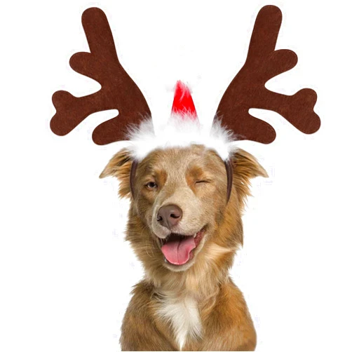 BWOGUE Dog Elk Reindeer Antler Headband Pet Christmas Costume Headwear Accessories for Dogs and Cats